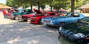 Cruise In 2019